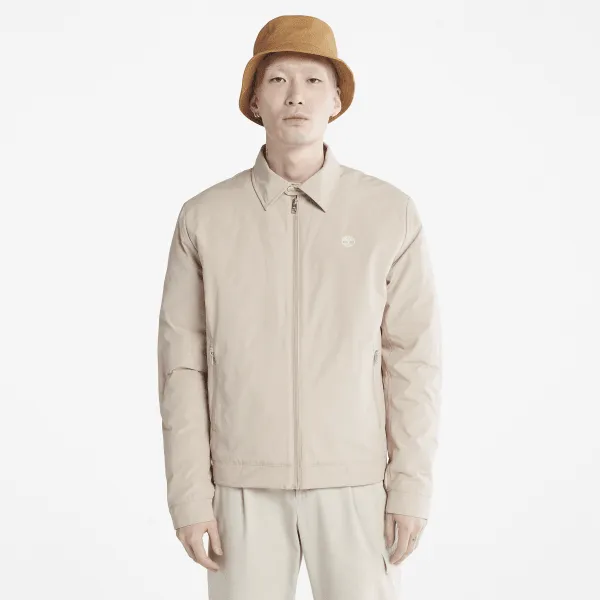 Blouson bomber d'hiver Stratham pour homme en beige