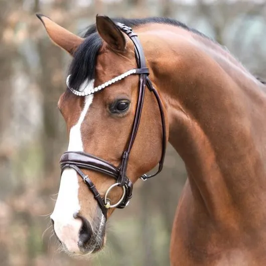 Bridon cheval anatomique Florina Kavalkade - Equestra