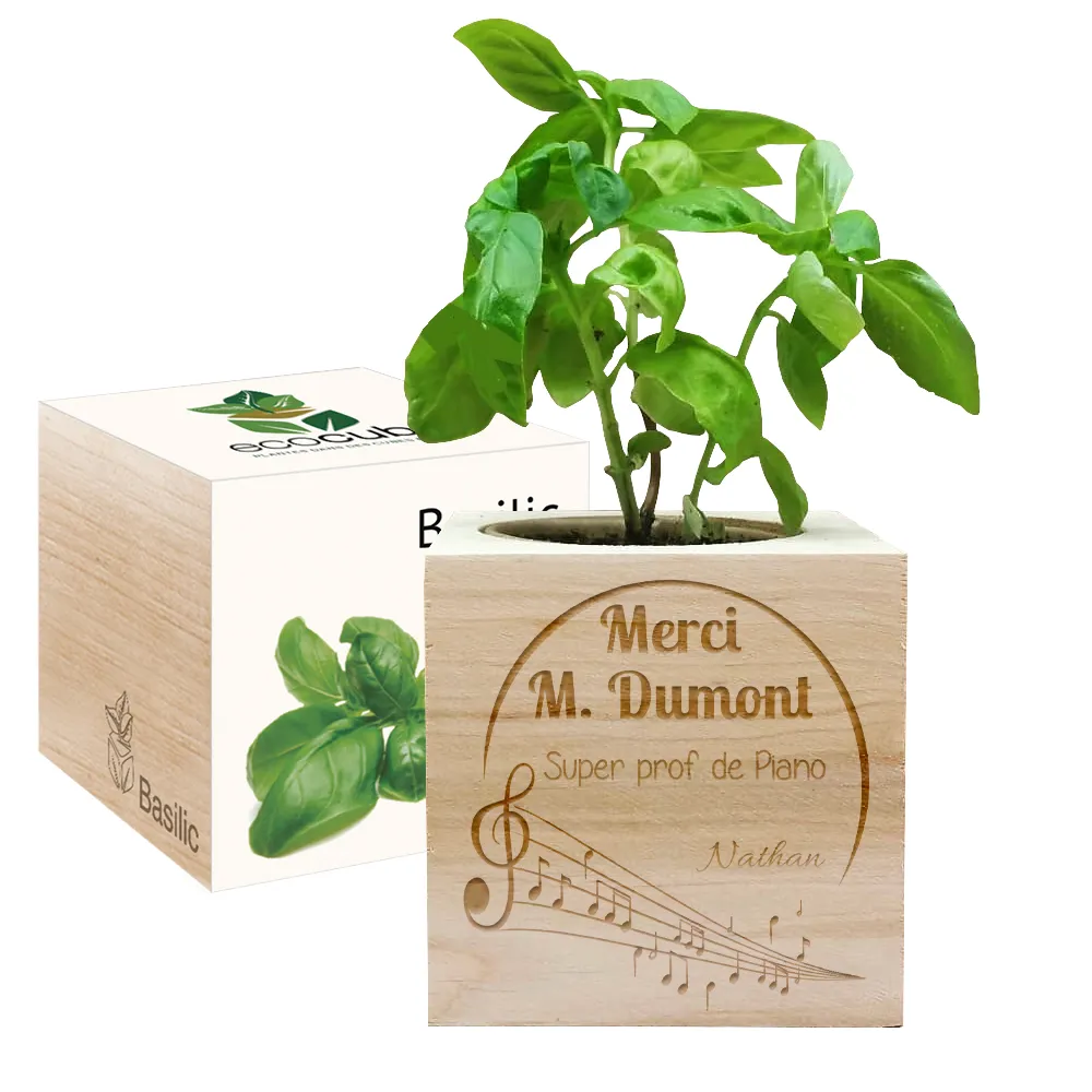 EcoCube gravé prof de musique 