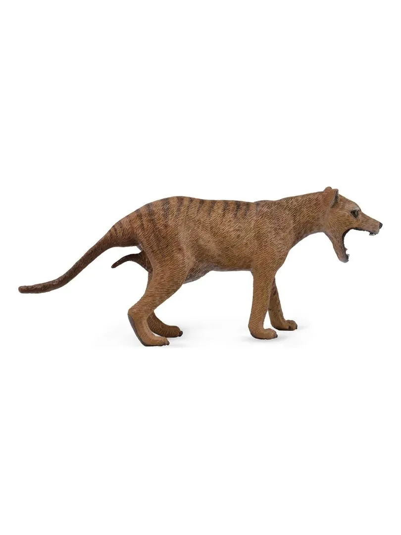 Figurine Animaux Sauvages (L): Thylacine (Tigre De Tasmanie) Femelle - N/A