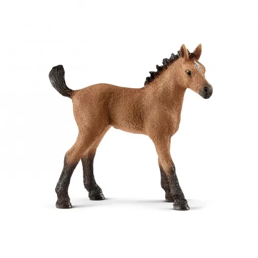 Figurine poulain Quarter Horse - Schleich - SCHLEICH - Horse Club Schleich - Equestra
