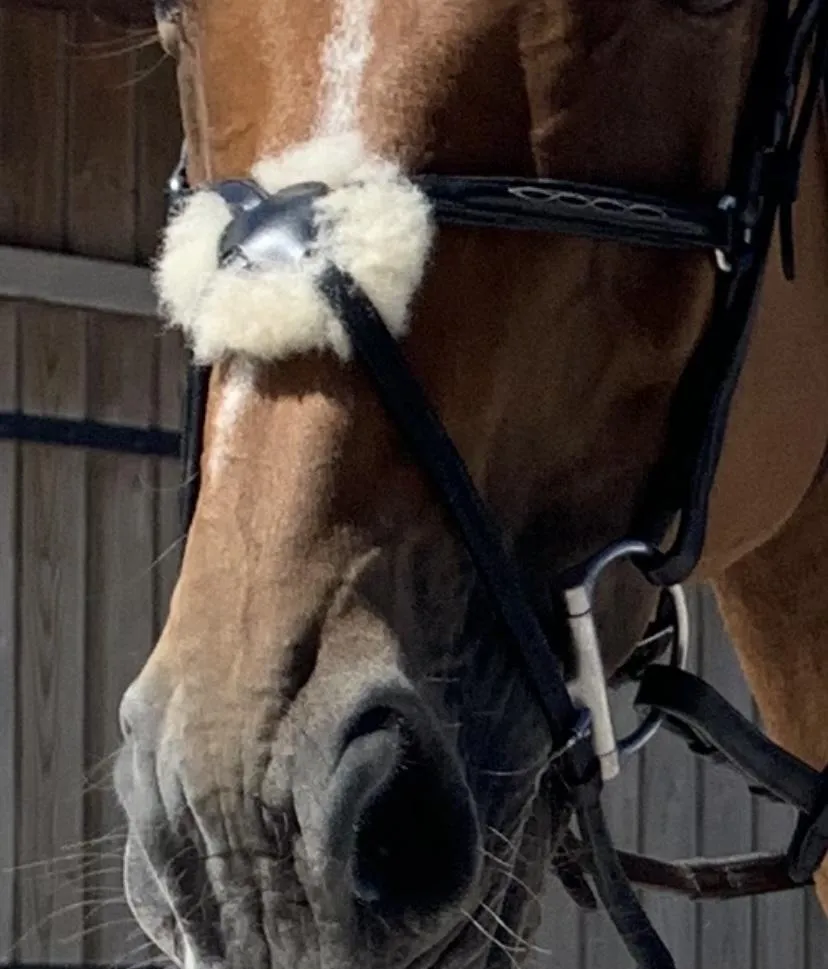 Filet EQUIPE