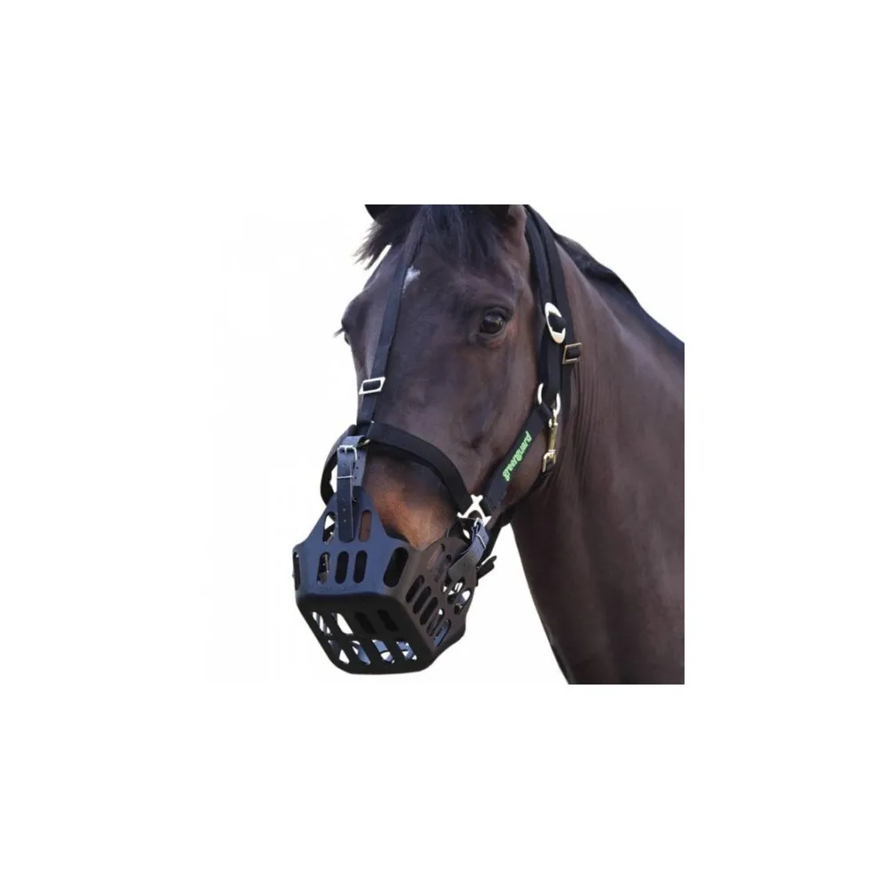 Licol Greenguard - Prévention fourbure poney et cheval