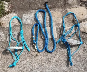 Licol éthologique bleu turquoise