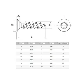 VIS AGGLO TF TORX INOX FT 3X20